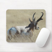 A14 Pronghorn Antelope Sunshine Buck Mousepad (Mit Mouse)