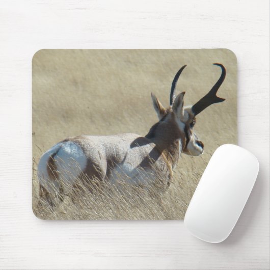 A14 Pronghorn Antelope Sunshine Buck Mousepad (Mit Mouse)