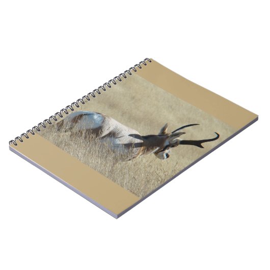 A14 Pronghorn Antelope Sunshine Buck Notizblock (Linke Seite)