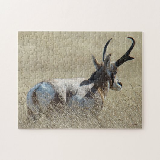 A14 Pronghorn Antelope Sunshine Buck Puzzle (Horizontal)