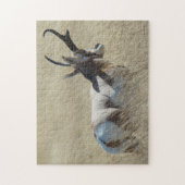 A14 Pronghorn Antelope Sunshine Buck Puzzle (Vertikal)