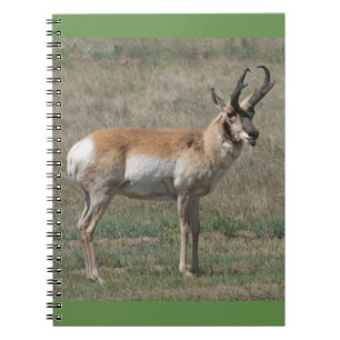 A15 Gabelbock Ruder Bock Notizblock