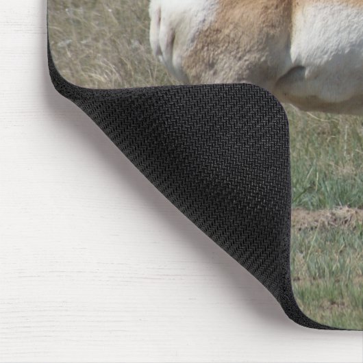 A15 Pronghorn Antelope Rude Buck Mousepad (Ecke)