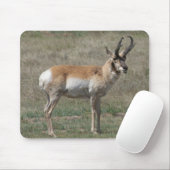 A15 Pronghorn Antelope Rude Buck Mousepad (Mit Mouse)