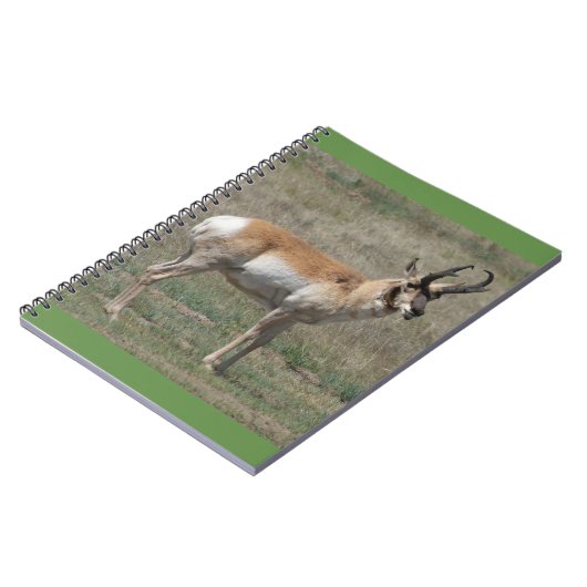 A15 Pronghorn Antelope Rude Buck Notizblock (Linke Seite)