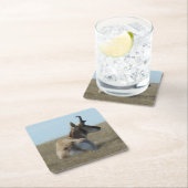 A16 Pronghorn Antelope Napping Buck Rechteckiger Pappuntersetzer (Vor Ort)