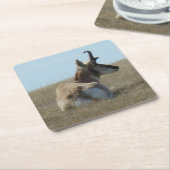 A16 Pronghorn Antelope Napping Buck Rechteckiger Pappuntersetzer (angewinkelt)