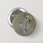 A17 Pronghorn Antelope Button (Vorne & Hinten)