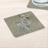 A17 Pronghorn Antelope Rechteckiger Pappuntersetzer (angewinkelt)
