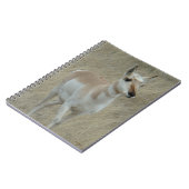 A17 Young Pronghorn Antelope Notizblock (Linke Seite)