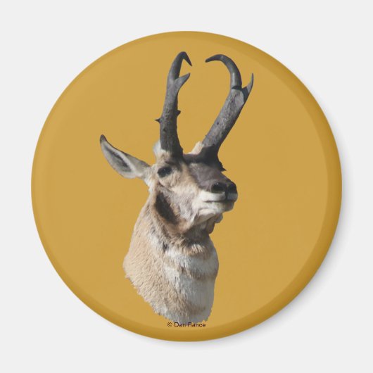 A18 Pronghorn Antelope Buck Shot Magnet (Vorne)