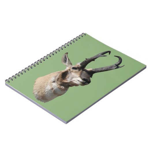 A18 Pronghorn Antelope Buck Shot Notizblock (Linke Seite)