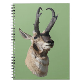 A18 Pronghorn Antelope Buck Shot Notizblock