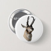 A18 Pronghorn Antelope Head Button (Vorne & Hinten)