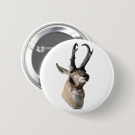A18 Pronghorn Antelope Head Button (Vorne & Hinten)