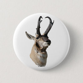 A18 Pronghorn Antelope Head Button