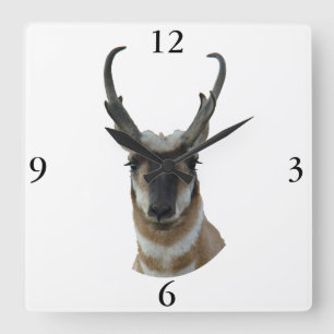 A19 Gabelbock-Dunkles Gesicht-Bock-Kopfschuss Quadratische Wanduhr
