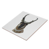 A19 Gabelbock Kopfschuss Fliese (Seite)
