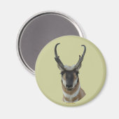 A19 Pronghorn Antelope Dark Face Buck Head Shot Magnet (Vorderseite/Rückseite)