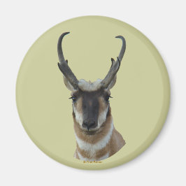 A19 Pronghorn Antelope Dark Face Buck Head Shot Magnet