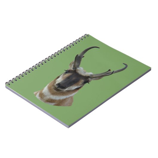A19 Pronghorn Antelope Dark Face Buck Head Shot Notizblock (Linke Seite)