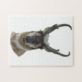 A19 Pronghorn Antelope Head Puzzle (Horizontal)
