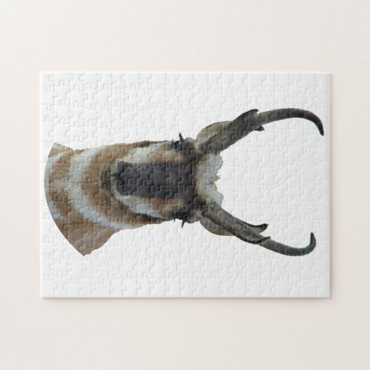 A19 Pronghorn Antelope Head Puzzle (Horizontal)