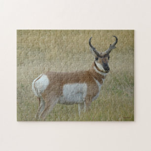 A1 Gabelbock Großer Bock Puzzle