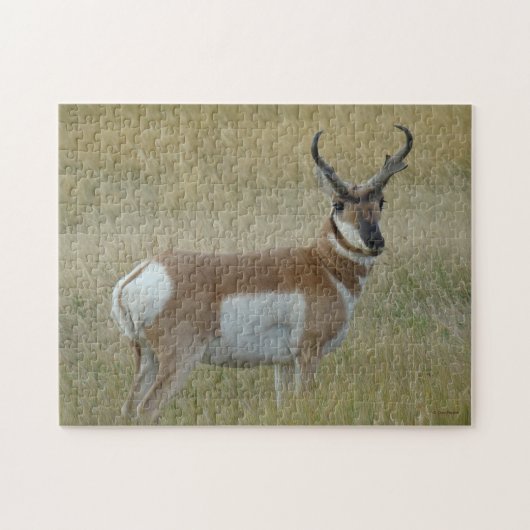 A1 Gabelbock Großer Bock Puzzle (Horizontal)