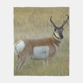 A1 Pronghorn Antelope Big Buck Fleecedecke