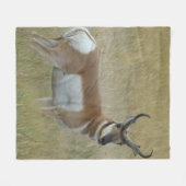 A1 Pronghorn Antelope Big Buck Fleecedecke (Vorderseite (Horizontal))