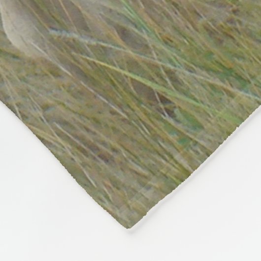 A1 Pronghorn Antelope Big Buck Fleecedecke (Ecke)