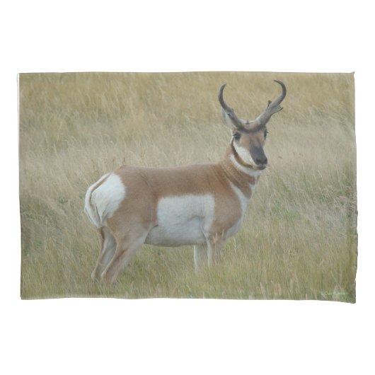 A1 Pronghorn Antelope Big Buck Kissenbezug (Vorderseite)