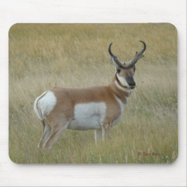 A1 Pronghorn Antelope Big Buck Mousepad