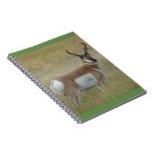 A1 Pronghorn Antelope Big Buck Notizblock (Rechte Seite)