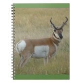A1 Pronghorn Antelope Big Buck Notizblock (Vorderseite)