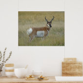 A1 Pronghorn Antelope Big Buck Poster (Küche)