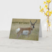 A1 Pronghorn Antelope Buck Karte (Gelbe Blume)
