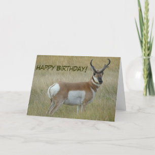 A1 Pronghorn Antelope Buck Karte