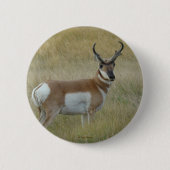 A1 Pronghorn Antelope Button (Vorderseite)