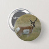 A1 Pronghorn Antelope Button (Vorne & Hinten)