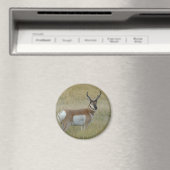 A1 Pronghorn Antelope Magnet (In Situ (Geschirrspüler))
