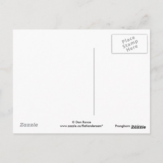 A1 Pronghorn Antilopen-viel Geld Postkarte (Rückseite)