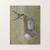 A1 Pronghorn Antilopen-viel Geld Puzzle (Vertikal)