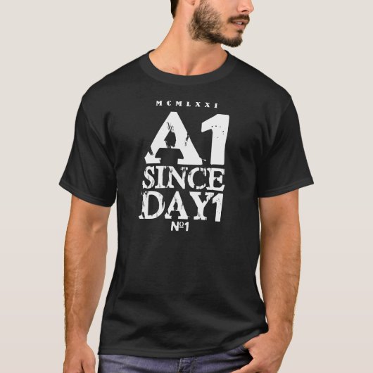 A1 SEIT DAY1 T-Shirt (Vorderseite)