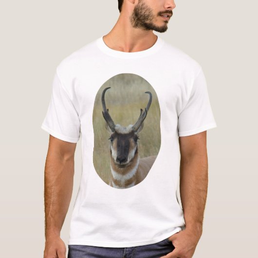 A20 Pronghorn Antelope Buck Dark Face Head Shot T-Shirt (Vorderseite)