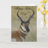 A21 Pronghorn Antelope Buck Karte (Gelbe Blume)