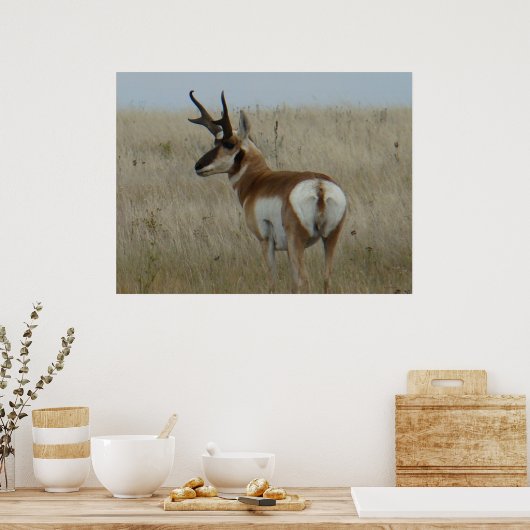 A22 Pronghorn Antelope Big Buck Poster (Küche)