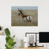 A22 Pronghorn Antelope Big Buck Poster (Heimbüro)