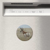 A22 Pronghorn Antelope Buck Magnet (In Situ (Geschirrspüler))